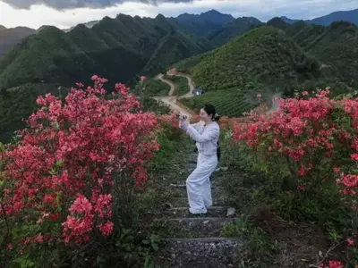 El Esplendor de las Azaleas: Desde los Paisajes Asiáticos hasta los Jardines Europeos