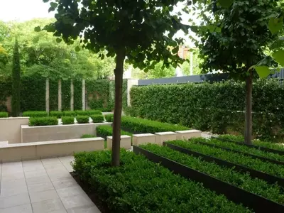 Transformando tu Jardín para Soportar Veranos más Cálidos: Estrategias de Adaptación Climática