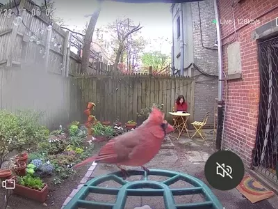 The Unexpected Joy of Birdwatching and its Influence on Fashion