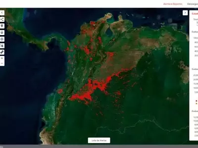MapBiomas Alerta: Revolucionando la Vigilancia Forestal en Colombia con Tecnología Satelital