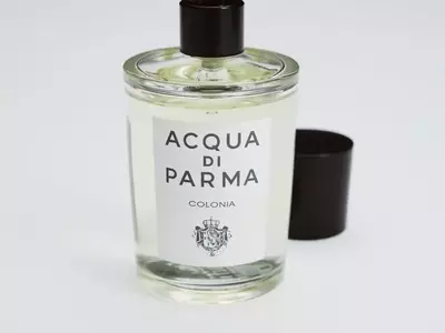 The Definitive Guide to Professional Fragrances for the Office