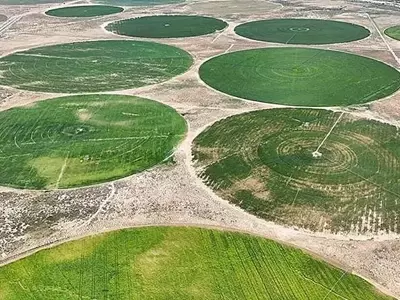 Transformación Estratégica del Riego Agrícola en EE. UU.