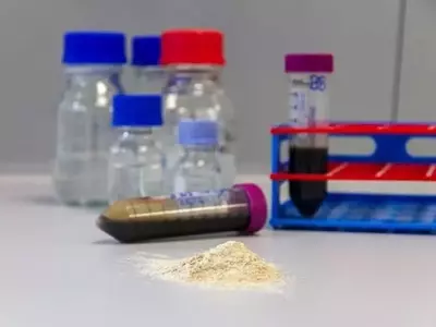 Fertilizantes del Futuro: Reduciendo la Dependencia de Combustibles Fósiles con Residuos Locales