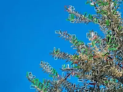 Revolución Agrícola: El Robot con IA que Erradica Plagas en Segundos
