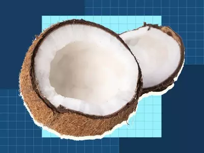 The Comprehensive Guide to Coconuts and Their Culinary Applications
