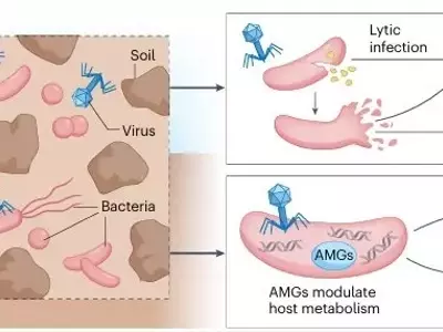 Virus: Impulsores Inesperados del Clima y la Fertilidad del Suelo