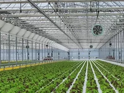 Invernaderos Hidropónicos con Residuos Textiles: Innovación para la Eficiencia Energética en la Agricultura Tunecina