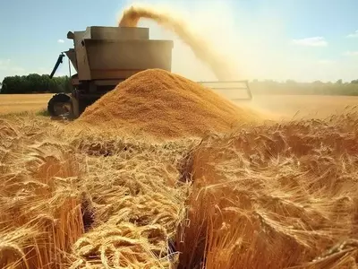 La siembra de trigo 2026/27 en Argentina arranca con buen perfil hídrico pero marcada por el aumento de costos