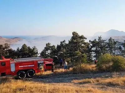 Manejo Integral de Incendios: Una Estrategia Sostenible