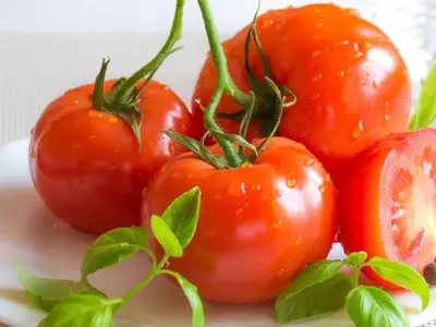 Por qué las plantas de tomate no producen frutos y cómo solucionarlo