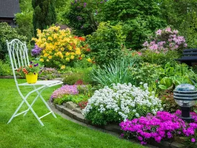 Transforma tu Pequeño Jardín en un Oasis de Amplitud Visual
