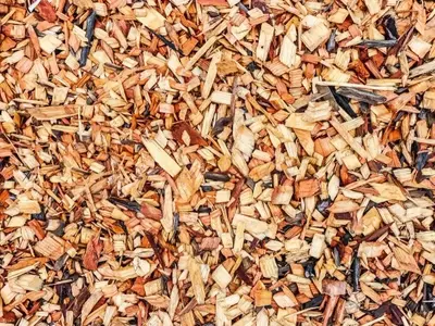 Acolchado Ecológico Casero: El Secreto para un Jardín Vibrante en Verano