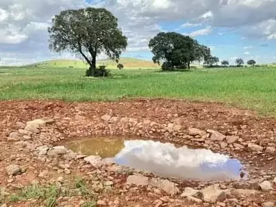 Reverdeciendo el campo: Estrategias de renaturalización agrícola para la adaptación climática