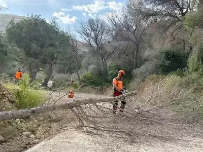 Gestión Integral en Serra Gelada: Lucha contra la Sequía y Protección Forestal