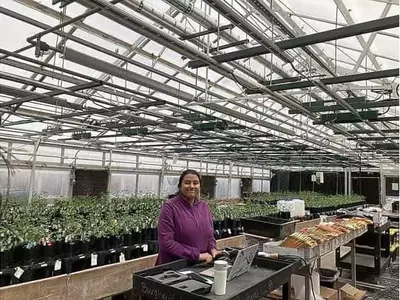 Descubrimiento de Genes Clave en la Evolución Simbiótica de Bacterias y Leguminosas