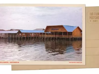 Mangrove Conservation: A Lifeline for Indigenous Fishing Communities in Indonesia