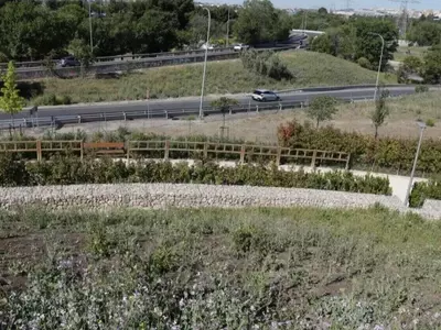 Transformación Verde en Orcasitas: Un Pulmón Urbano para Usera