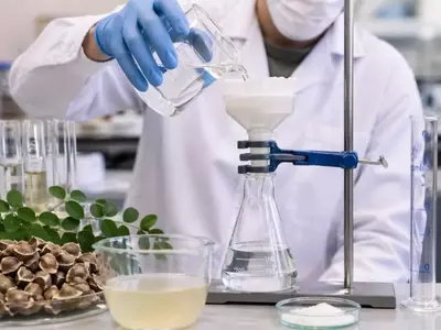 Moringa Oleifera: Solución Natural Contra Microplásticos en el Agua