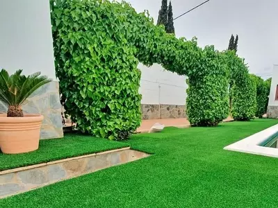 Transforma Tu Jardín: Estrategias Aromáticas para un Oasis Sensorial