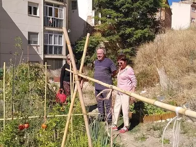 Huertos Urbanos de Zamora: Una Iniciativa Sostenible en Expansión