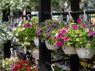 Guía Completa para un Jardín Inteligente: El Calendario Lunar y la Sostenibilidad