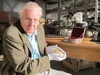 Celebrating Sir David Attenborough's Centennial: A Legacy of Nature and Conservation