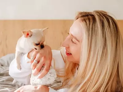 Understanding and Managing Your Dog's Nibbling Behavior