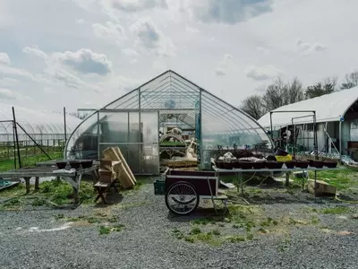 Korean Culinary Masters Establish "First Hand Farm" in Hudson Valley to Cultivate Traditional Ingredients