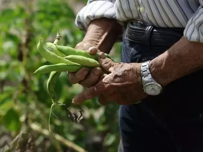 Mayo: Clave para un Jardín y Huerto Exitosos