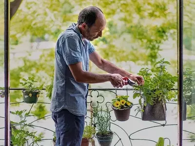 Crea tu propio huerto urbano en el balcón: guía para principiantes