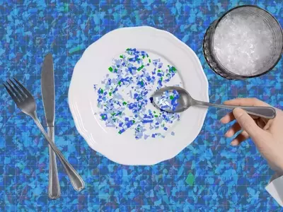 Understanding and Mitigating Microplastic Exposure in Food