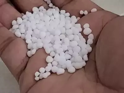 Insumos Agrícolas: Reducción de Precios en Fertilizantes Nitrogenados Ofrece Alivio al Sector