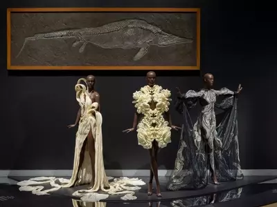 Iris van Herpen's "Sculpting the Senses" Exhibition: A Mid-Career Retrospective at the Brooklyn Museum