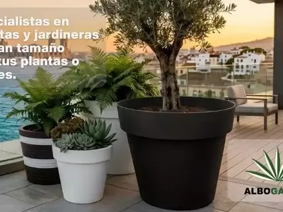 Maceteros de gran tamaño: Recreando espacios verdes