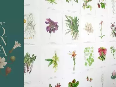 Celebrando la Contribución Femenina a la Ilustración Botánica