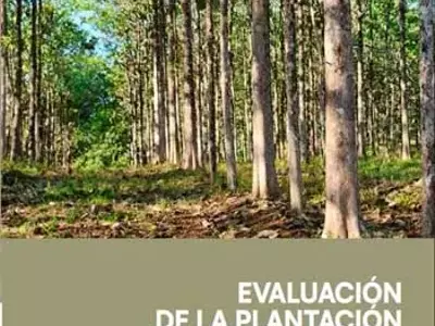 Guía Técnica para la Valoración y Optimización de Plantaciones Forestales Comerciales