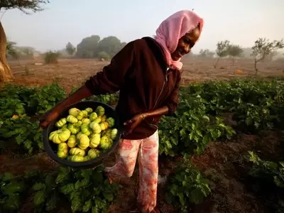 Africa's Path to Food Security: Embracing Agroecology Amidst Fertilizer Crisis