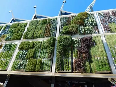 Duplicando la Naturaleza: El Auge de los Jardines de Espejo en el Diseño Urbano