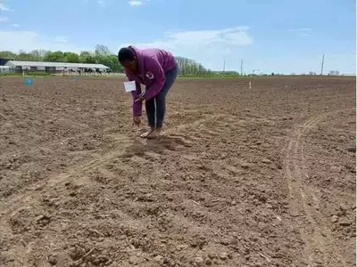 Estudio revela limitaciones del biocarbón en la retención de fósforo agrícola