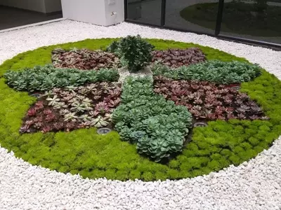Jardines bogotanos: integrando la flora nativa para un ecosistema urbano floreciente