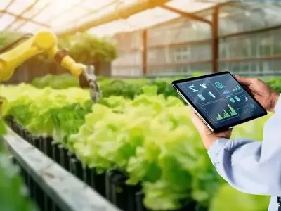 Revolución Agrícola: La Robótica Transforma el Campo