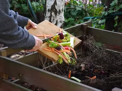 Evita Errores Comunes al Usar Compost en Jardines y Huertos Urbanos