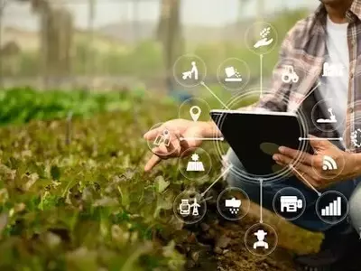 La inteligencia artificial transforma la agricultura moderna: desafíos y oportunidades