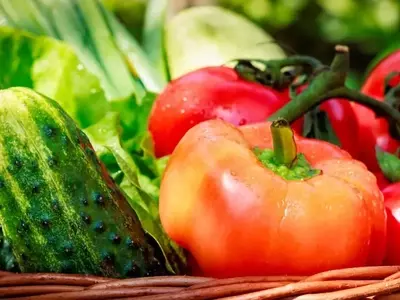 Cosecha Fresca en Casa: Tu Propio Huerto Comestible en Espacios Reducidos