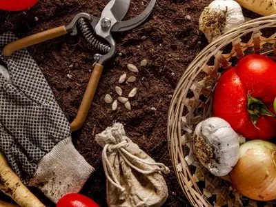 Guía Completa para la Conservación de Semillas: Desde la Recolección hasta el Almacenamiento Sostenible