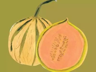Discovering the Diverse World of Summer Melons