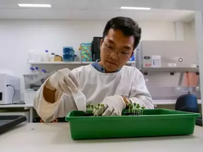 Suelos con Poder Antifúngico Natural: Clave para Cultivos Australianos