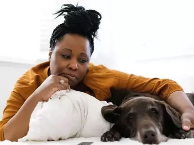 The Emotional Bond Between Humans and Dogs: Understanding Shared Stress