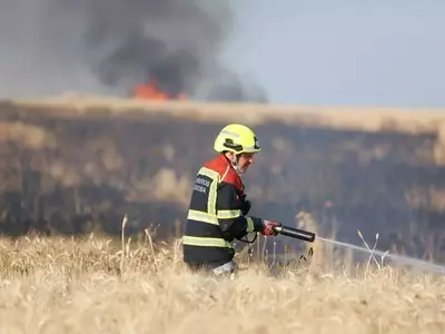 Investigación en Córdoba: Incendio Forestal Originado por Quema de Restos de Poda