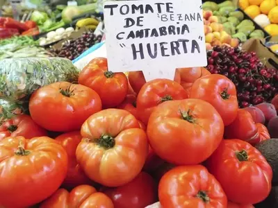 Hortalizas La Colina: Un Modelo de Cultivo Tradicional Innovador en Cantabria
